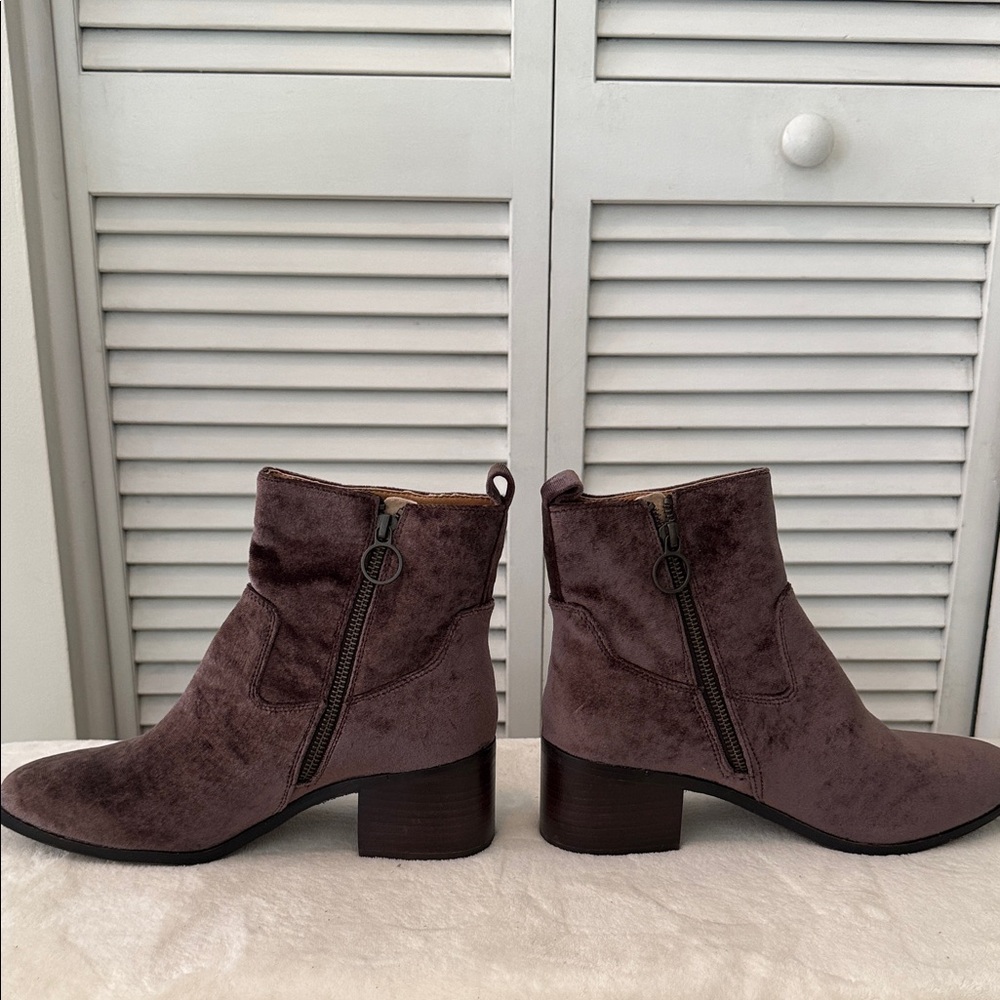 Latigo Velvet Ankle Boots - Picture 5 of 8